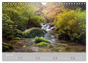 Waldbäche - Im Wandel der Jahreszeiten (Wandkalender 2024 DIN A4 quer), CALVENDO Monatskalender