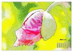 MohnZauber (Wandkalender 2024 DIN A2 quer), CALVENDO Monatskalender