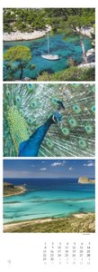 Colours of Nature - Triplets 2025 - Streifenkalender XXL 25x69 cm - Bildkalender im Hochformat - Naturkalender - Wandkalender - Wandplaner