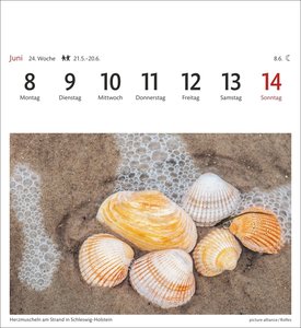 Nordseeküste Sehnsuchtskalender 2026