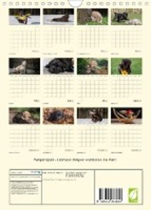 Welpenspaß - Labrador Welpen entdecken die Welt (Wandkalender 2023 DIN A4 hoch)