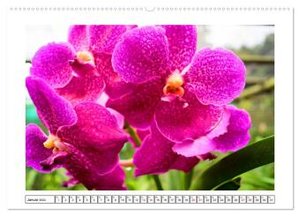 Farbzauber Orchideen (hochwertiger Premium Wandkalender 2024 DIN A2 quer), Kunstdruck in Hochglanz