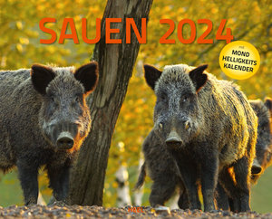 Sauen Kalender 2024 Jagd-Kalender im XXL-Format