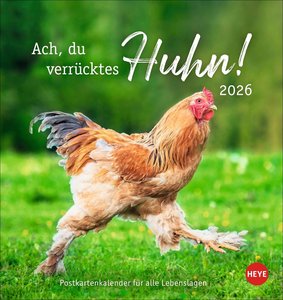 Hühner Postkartenkalender 2026