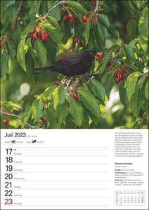 Heimische Vögel Wochenplaner 2023. Wochenkalendarium, Infos zu den porträtierten Vogelarten und viel Platz für Termine in dem praktischen Wand-Kalender 2023 zum Eintragen.
