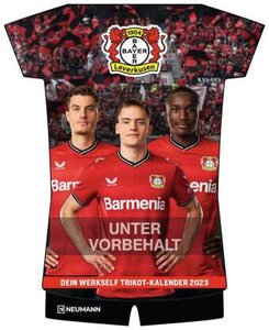 Bayer 04 Leverkusen 2024 Trikotkalender - Fußball-Kalender - Wand-Kalender - Fan-Kalender - 34,1x42 - Sport