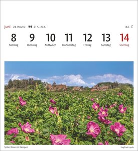 Sylt Sehnsuchtskalender 2026