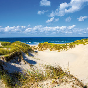 Northern Sea/Nordsee 2022