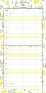 Familienplaner Deluxe 2025 - Broschürenkalender 30x30 cm (30x60 geöffnet) - Kalender mit Platz für Notizen - 5 Spalten - Bildkalender - Wandkalender