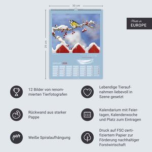 Heimische Vögel Kalender 2026