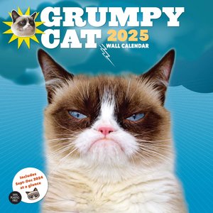Grumpy Cat 2025
