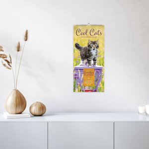 Cool Cats Familienplaner 2026