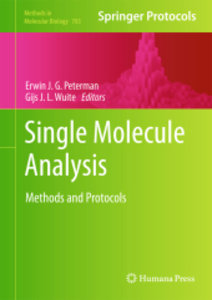 Single Molecule Analysis