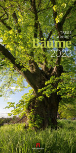 Bäume Kalender 2023