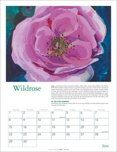 DIE ZEIT Neulich im Beet Kalender 2026