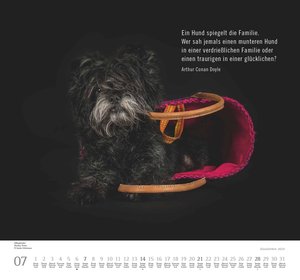 Hundeleben 2024 - DUMONT Wandkalender - mit den wichtigsten Feiertagen - Format 38,0 x 35,5 cm