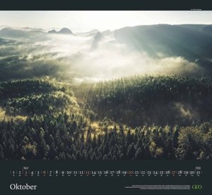 GEO Kalender: Sehnsucht Wald 2024 - Wand-Kalender - Natur-Kalender - 60x55