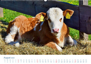 Tierisches Leben auf dem Bauernhof 2023 (Wandkalender 2023 DIN A2 quer)