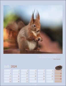 Eichhörnchen. Wandkalender 2024. Fotokalender mit süßen Eichhörnchen-Bildern und Zitaten für jeden Monat. Tierkalender mit Planer im Hochformat 30x39 cm
