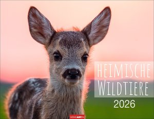 Heimische Wildtiere 2026