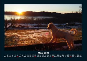 Jahreszeiten-Kalender 2022 Fotokalender DIN A4
