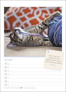 Katzenglück Wochenkalender 2023. Jede Woche eine süße Katze in dem kleinen Fotokalender. Passende Zitate und niedliche Fotos machen diesen Kalender im Mini-Format zum echten Blickfang!
