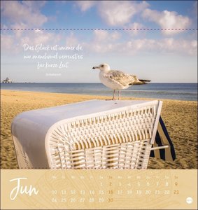 Tage voller Glück Postkartenkalender 2024. Kalender mit Postkarten zum Sammeln oder Verschicken. Inspirierende Fotos mit Sprüchen. Fotokalender zum Aufstellen oder Aufhängen.