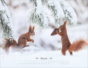 Vadim Trunov: Märchenhaftes Waldleben Posterkalender 2026