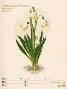 Ars Floralis - Vintage Wochenplander Kalender 2024