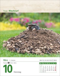 Mein Garten Tagesabreißkalender 2026