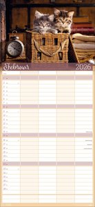 Cool Cats Familienplaner 2026