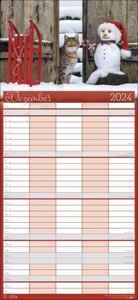 Cool Cats Familienplaner 2024. Großer Foto-Terminkalender mit 5 Spalten für Familien. Schöner Familien-Wandkalender 2024 mit süßen Katzen-Fotos. 22x48 cm