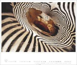 Architecture in Music Kalender 2026 - Musikinstrumente von innen