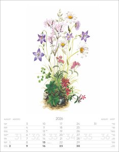 Alpenblumen-Aquarelle Kalender 2026