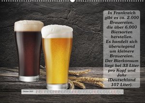 Wissenswertes über Bier (Wandkalender 2023 DIN A2 quer)