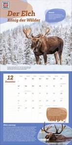 WAS IST WAS Tierwelt Broschurkalender 2026