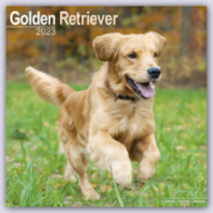 Golden Retriever 2023 - 16-Monatskalender