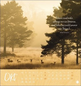 Zeit zum Träumen Postkartenkalender 2024. Fotokalender mit perforierten Postkarten voll schöner Motive und liebevoller Gedanken. Monats-Tischkalender zum Aufstellen oder Aufhängen. 16 x 17 cm