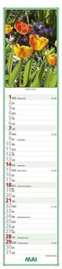Paules Gartenplaner 2023 - Streifenplaner - Wandplaner - Küchen-Kalender - 11,3x49,5
