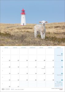 Sylt ? wie ich es liebe 2026