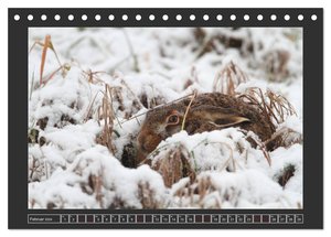 Winterzauber - Tiere in Eis und Schnee (Tischkalender 2024 DIN A5 quer), CALVENDO Monatskalender