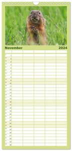 Familienplaner 2024 - Ziesel auf Augenhöhe mit 5 Spalten (Wandkalender, 21 x 45 cm) CALVENDO