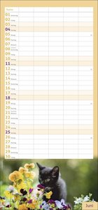 Katzen Familienplaner 2023. Ein praktischer Kalender mit 5 Spalten für Pläne, Termine und Notizen der ganzen Familie. Niedliche Katzenfotos in einem nützlichen Familienkalender.