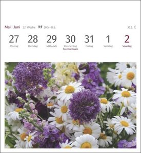 Blumenpracht Postkartenkalender 2024. Kalender mit 53 traumhaften Fotos von Blumensträußen und Blüten. Blumen-Kalender 2024 mit Postkarten