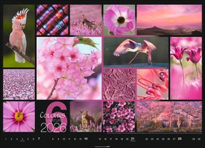 Colours of Nature Kalender 2026