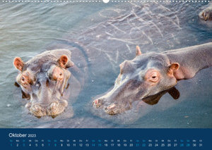 Nilpferde, Kolosse in Afrika (Premium, hochwertiger DIN A2 Wandkalender 2023, Kunstdruck in Hochglanz)
