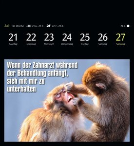 Animal Memes Postkartenkalender 2025