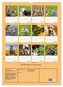 Mit Tieren hinein in das neue Jahr (Wandkalender 2024 DIN A2 hoch), CALVENDO Monatskalender