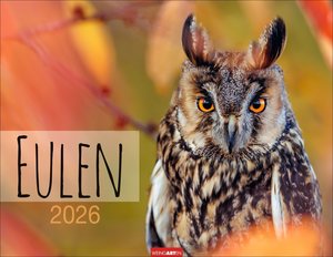 Eulen 2026