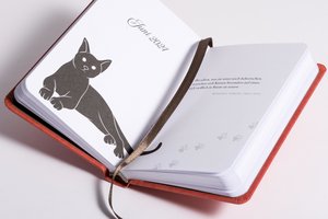 Taschenkalender Katzen 2024